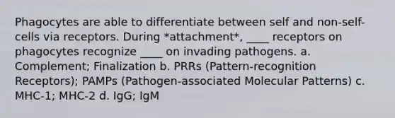 Phagocytes are able to differentiate between self and non-self-cells via receptors. During *attachment*, ____ receptors on phagocytes recognize ____ on invading pathogens. a. Complement; Finalization b. PRRs (Pattern-recognition Receptors); PAMPs (Pathogen-associated Molecular Patterns) c. MHC-1; MHC-2 d. IgG; IgM