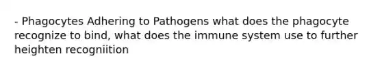 - Phagocytes Adhering to Pathogens what does the phagocyte recognize to bind, what does the immune system use to further heighten recogniition