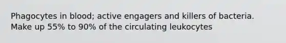 Phagocytes in blood; active engagers and killers of bacteria. Make up 55% to 90% of the circulating leukocytes