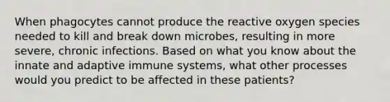 When phagocytes cannot produce the reactive oxygen species needed to kill and break down microbes, resulting in more severe, chronic infections. Based on what you know about the innate and adaptive immune systems, what other processes would you predict to be affected in these patients?