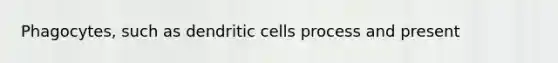 Phagocytes, such as dendritic cells process and present