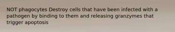 NOT phagocytes Destroy cells that have been infected with a pathogen by binding to them and releasing granzymes that trigger apoptosis