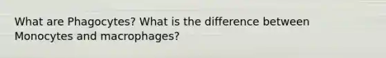 What are Phagocytes? What is the difference between Monocytes and macrophages?