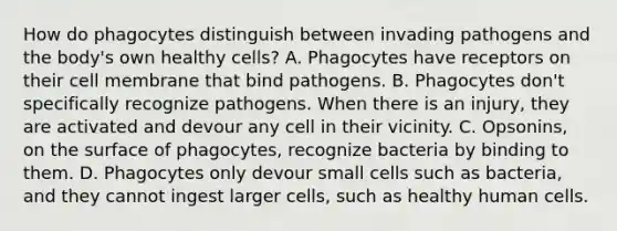 How do phagocytes distinguish between invading pathogens and the body's own healthy cells? A. Phagocytes have receptors on their cell membrane that bind pathogens. B. Phagocytes don't specifically recognize pathogens. When there is an injury, they are activated and devour any cell in their vicinity. C. Opsonins, on the surface of phagocytes, recognize bacteria by binding to them. D. Phagocytes only devour small cells such as bacteria, and they cannot ingest larger cells, such as healthy human cells.