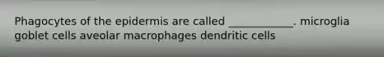 Phagocytes of the epidermis are called ____________. microglia goblet cells aveolar macrophages dendritic cells