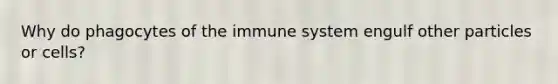 Why do phagocytes of the immune system engulf other particles or cells?