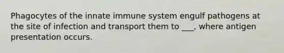 Phagocytes of the innate immune system engulf pathogens at the site of infection and transport them to ___, where antigen presentation occurs.