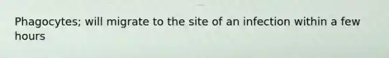 Phagocytes; will migrate to the site of an infection within a few hours