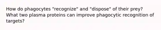 How do phagocytes "recognize" and "dispose" of their prey? What two plasma proteins can improve phagocytic recognition of targets?