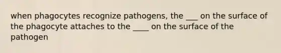 when phagocytes recognize pathogens, the ___ on the surface of the phagocyte attaches to the ____ on the surface of the pathogen