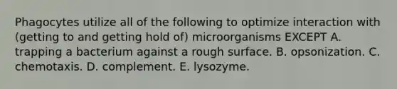 Phagocytes utilize all of the following to optimize interaction with (getting to and getting hold of) microorganisms EXCEPT A. trapping a bacterium against a rough surface. B. opsonization. C. chemotaxis. D. complement. E. lysozyme.