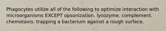 Phagocytes utilize all of the following to optimize interaction with microorganisms EXCEPT opsonization. lysozyme. complement. chemotaxis. trapping a bacterium against a rough surface.