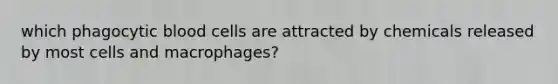 which phagocytic blood cells are attracted by chemicals released by most cells and macrophages?