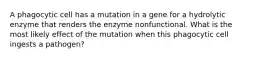 A phagocytic cell has a mutation in a gene for a hydrolytic enzyme that renders the enzyme nonfunctional. What is the most likely effect of the mutation when this phagocytic cell ingests a pathogen?