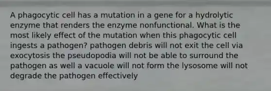 A phagocytic cell has a mutation in a gene for a hydrolytic enzyme that renders the enzyme nonfunctional. What is the most likely effect of the mutation when this phagocytic cell ingests a pathogen? pathogen debris will not exit the cell via exocytosis the pseudopodia will not be able to surround the pathogen as well a vacuole will not form the lysosome will not degrade the pathogen effectively