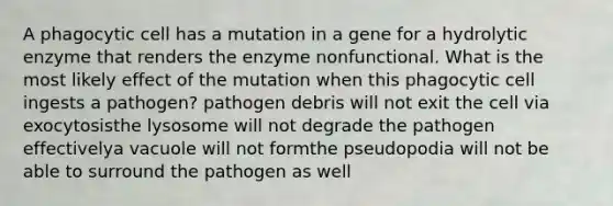 A phagocytic cell has a mutation in a gene for a hydrolytic enzyme that renders the enzyme nonfunctional. What is the most likely effect of the mutation when this phagocytic cell ingests a pathogen? pathogen debris will not exit the cell via exocytosisthe lysosome will not degrade the pathogen effectivelya vacuole will not formthe pseudopodia will not be able to surround the pathogen as well