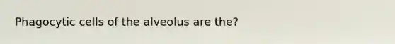 Phagocytic cells of the alveolus are the?