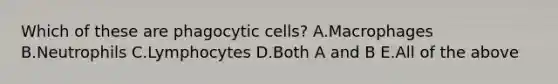 Which of these are phagocytic cells? A.Macrophages B.Neutrophils C.Lymphocytes D.Both A and B E.All of the above