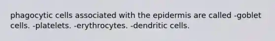 phagocytic cells associated with the epidermis are called -goblet cells. -platelets. -erythrocytes. -dendritic cells.