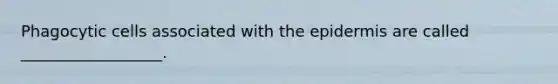 Phagocytic cells associated with the epidermis are called __________________.