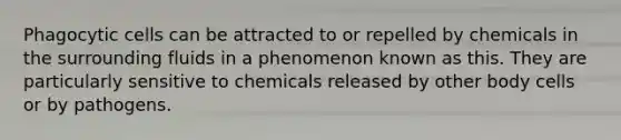 Phagocytic cells can be attracted to or repelled by chemicals in the surrounding fluids in a phenomenon known as this. They are particularly sensitive to chemicals released by other body cells or by pathogens.