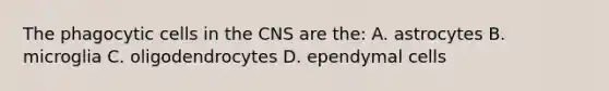 The phagocytic cells in the CNS are the: A. astrocytes B. microglia C. oligodendrocytes D. ependymal cells