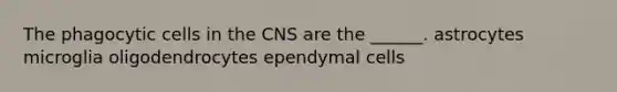 The phagocytic cells in the CNS are the ______. astrocytes microglia oligodendrocytes ependymal cells