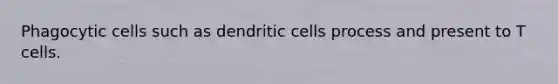 Phagocytic cells such as dendritic cells process and present to T cells.