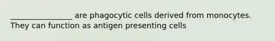 ________________ are phagocytic cells derived from monocytes. They can function as antigen presenting cells