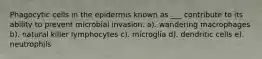 Phagocytic cells in the epidermis known as ___ contribute to its ability to prevent microbial invasion. a). wandering macrophages b). natural killer lymphocytes c). microglia d). dendritic cells e). neutrophils