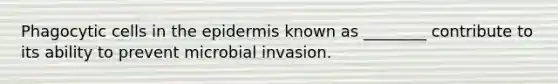 Phagocytic cells in <a href='https://www.questionai.com/knowledge/kBFgQMpq6s-the-epidermis' class='anchor-knowledge'>the epidermis</a> known as ________ contribute to its ability to prevent microbial invasion.