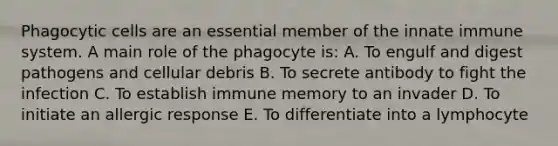 Phagocytic cells are an essential member of the innate immune system. A main role of the phagocyte is: A. To engulf and digest pathogens and cellular debris B. To secrete antibody to fight the infection C. To establish immune memory to an invader D. To initiate an allergic response E. To differentiate into a lymphocyte