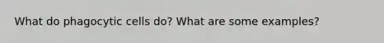 What do phagocytic cells do? What are some examples?