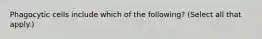 Phagocytic cells include which of the following? (Select all that apply.)