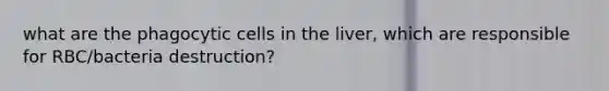 what are the phagocytic cells in the liver, which are responsible for RBC/bacteria destruction?