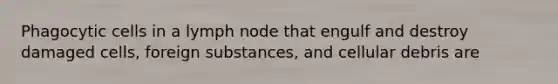 Phagocytic cells in a lymph node that engulf and destroy damaged cells, foreign substances, and cellular debris are