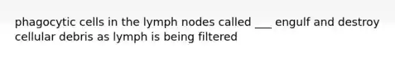 phagocytic cells in the lymph nodes called ___ engulf and destroy cellular debris as lymph is being filtered