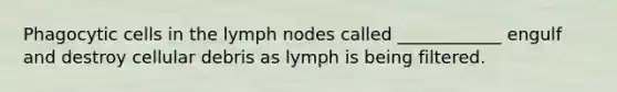 Phagocytic cells in the lymph nodes called ____________ engulf and destroy cellular debris as lymph is being filtered.