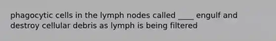 phagocytic cells in the lymph nodes called ____ engulf and destroy cellular debris as lymph is being filtered