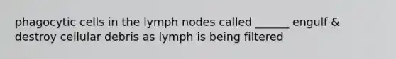 phagocytic cells in the lymph nodes called ______ engulf & destroy cellular debris as lymph is being filtered