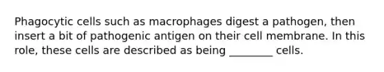 Phagocytic cells such as macrophages digest a pathogen, then insert a bit of pathogenic antigen on their cell membrane. In this role, these cells are described as being ________ cells.