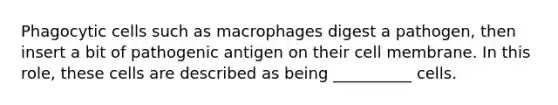 Phagocytic cells such as macrophages digest a pathogen, then insert a bit of pathogenic antigen on their cell membrane. In this role, these cells are described as being __________ cells.