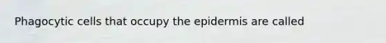 Phagocytic cells that occupy the epidermis are called