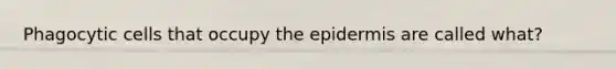 Phagocytic cells that occupy the epidermis are called what?