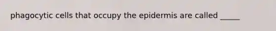phagocytic cells that occupy <a href='https://www.questionai.com/knowledge/kBFgQMpq6s-the-epidermis' class='anchor-knowledge'>the epidermis</a> are called _____