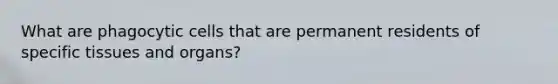 What are phagocytic cells that are permanent residents of specific tissues and organs?