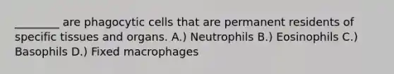 ________ are phagocytic cells that are permanent residents of specific tissues and organs. A.) Neutrophils B.) Eosinophils C.) Basophils D.) Fixed macrophages