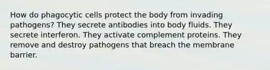 How do phagocytic cells protect the body from invading pathogens? They secrete antibodies into body fluids. They secrete interferon. They activate complement proteins. They remove and destroy pathogens that breach the membrane barrier.