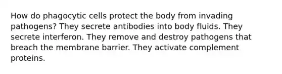 How do phagocytic cells protect the body from invading pathogens? They secrete antibodies into body fluids. They secrete interferon. They remove and destroy pathogens that breach the membrane barrier. They activate complement proteins.