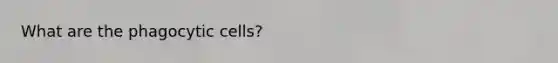 What are the phagocytic cells?